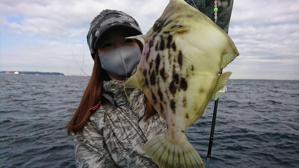 東京湾カワハギ釣り?