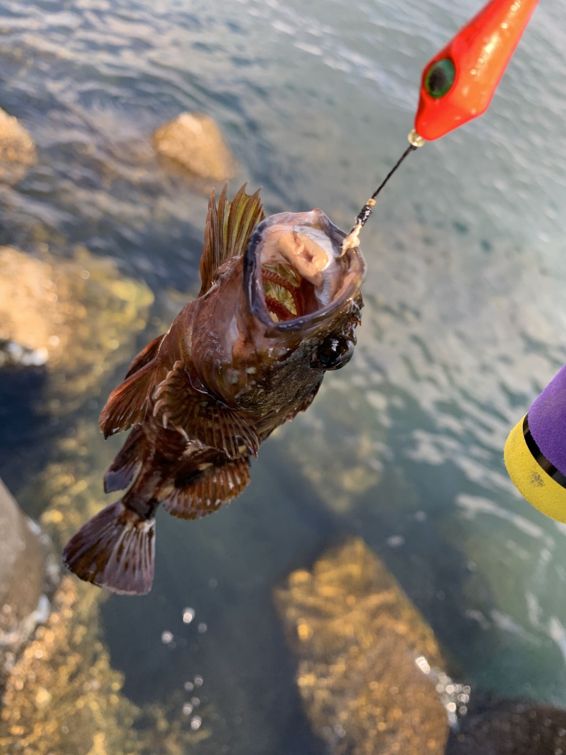 初ヾ(´∇｀)ﾉ穴釣り！