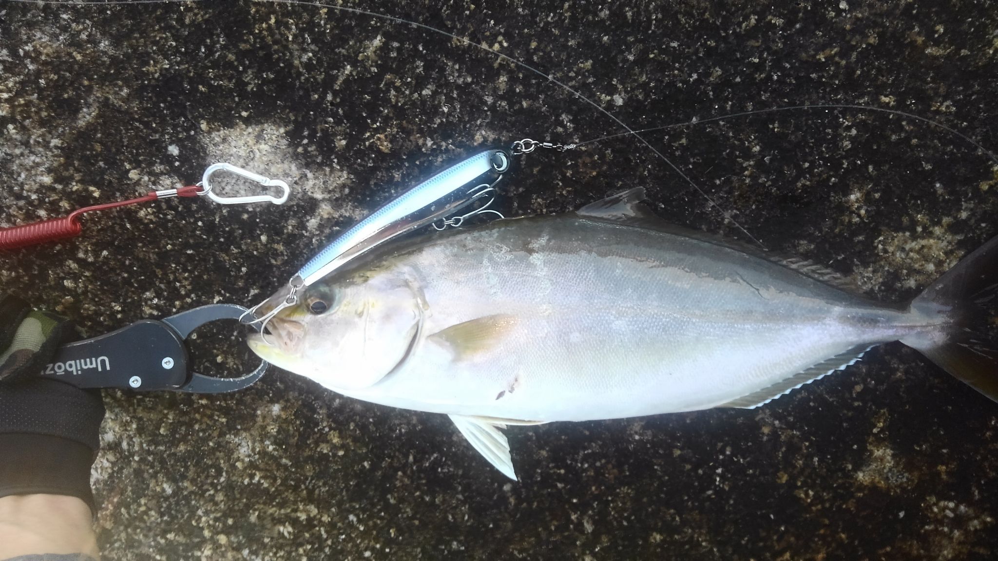 沖ノ島遠征釣行　2日目　