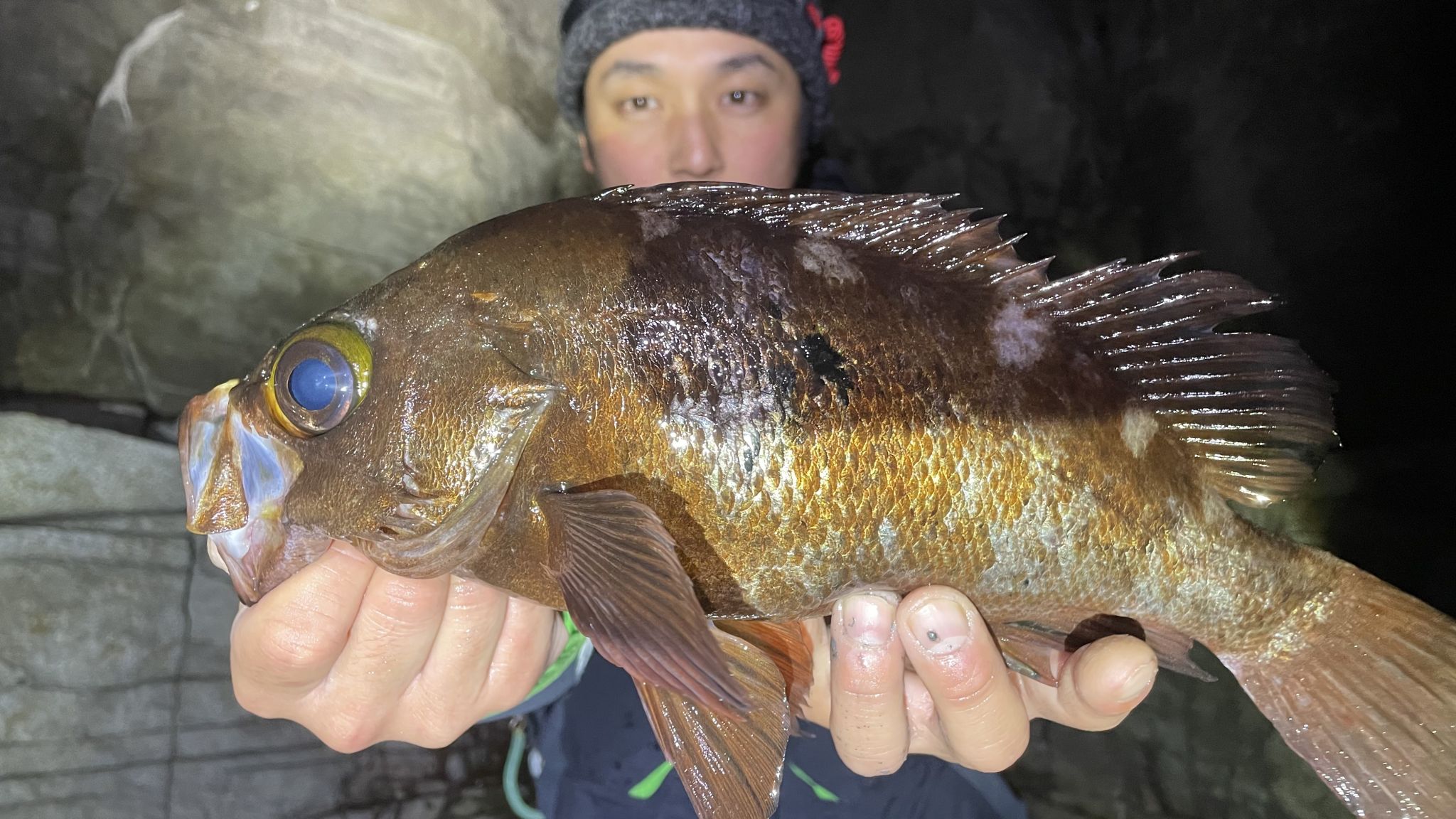 尺メバル現る！伊豆のメバリング。