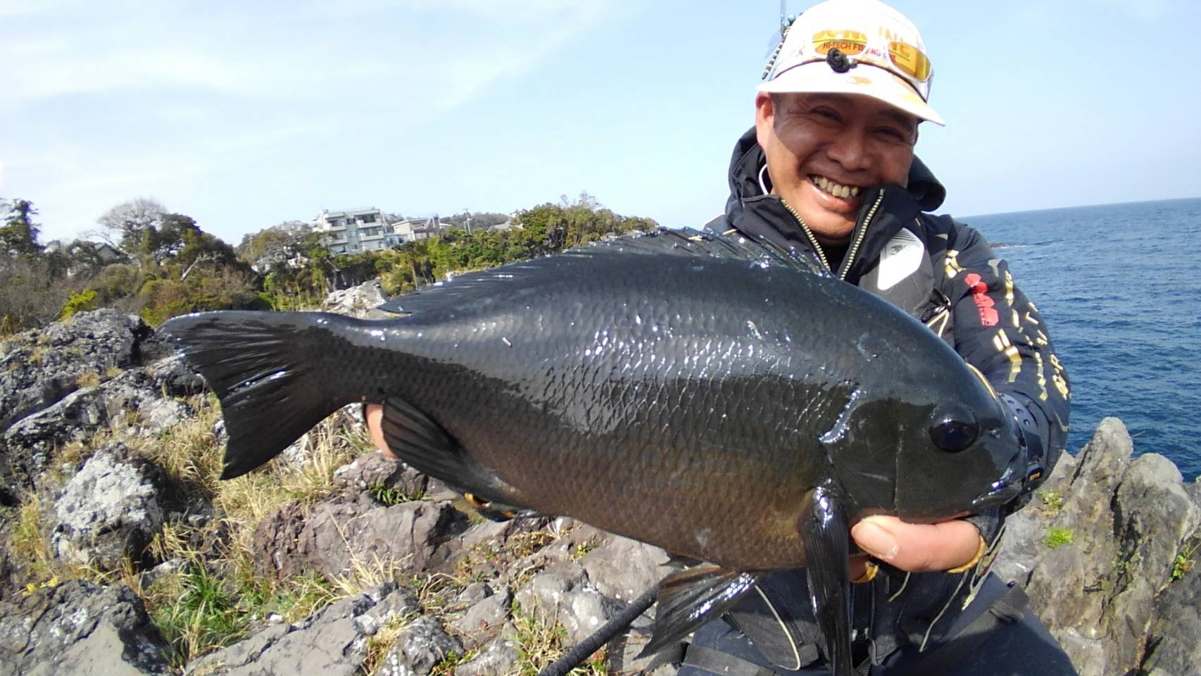 東伊豆地磯のグレ