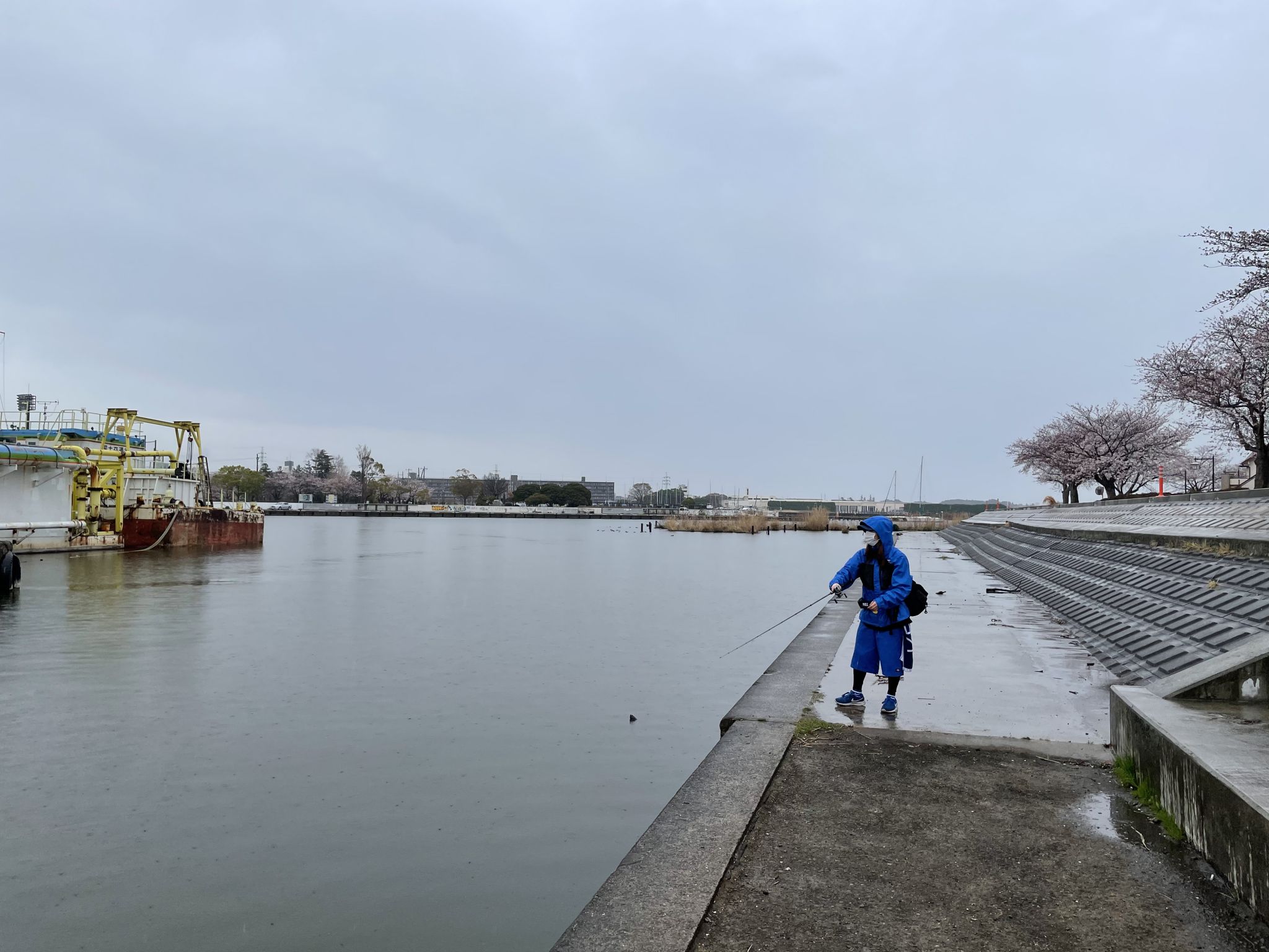 春雨。