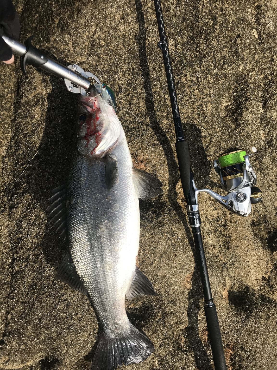 世界遺産でショアジギング❗️