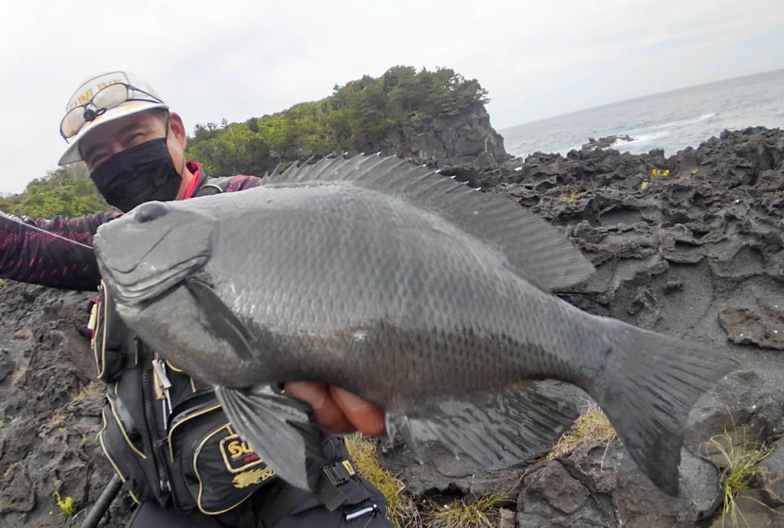 東伊豆のグレ