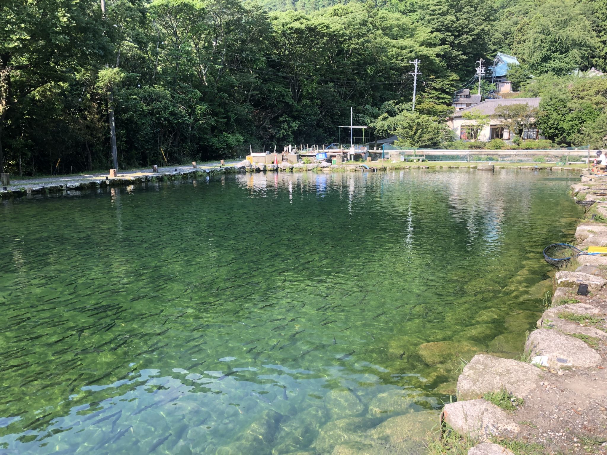 今年最初のサンク・第3ポンドへ。