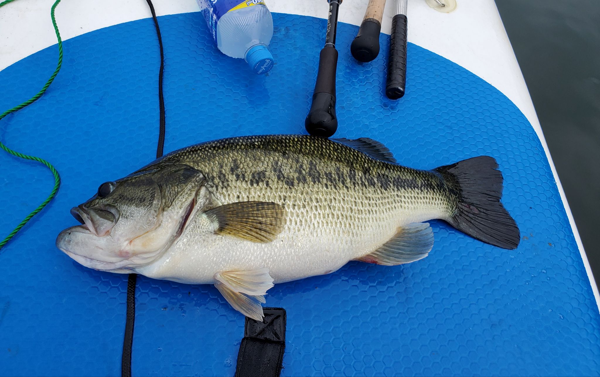 夏が来た！スタッフ青山琵琶湖SUP釣行