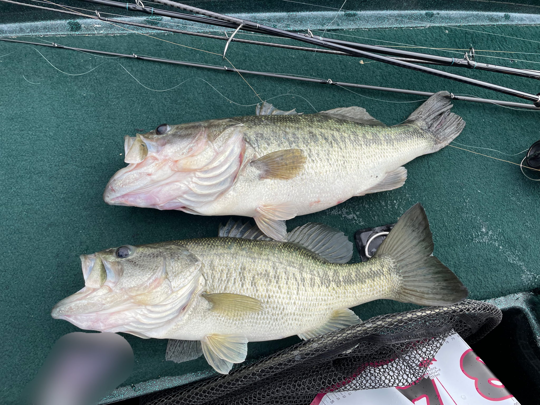 3連休琵琶湖釣行①