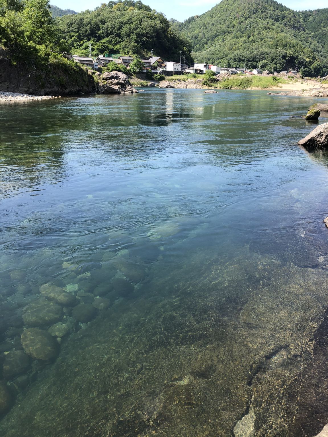 ついに解禁！長良川中央！