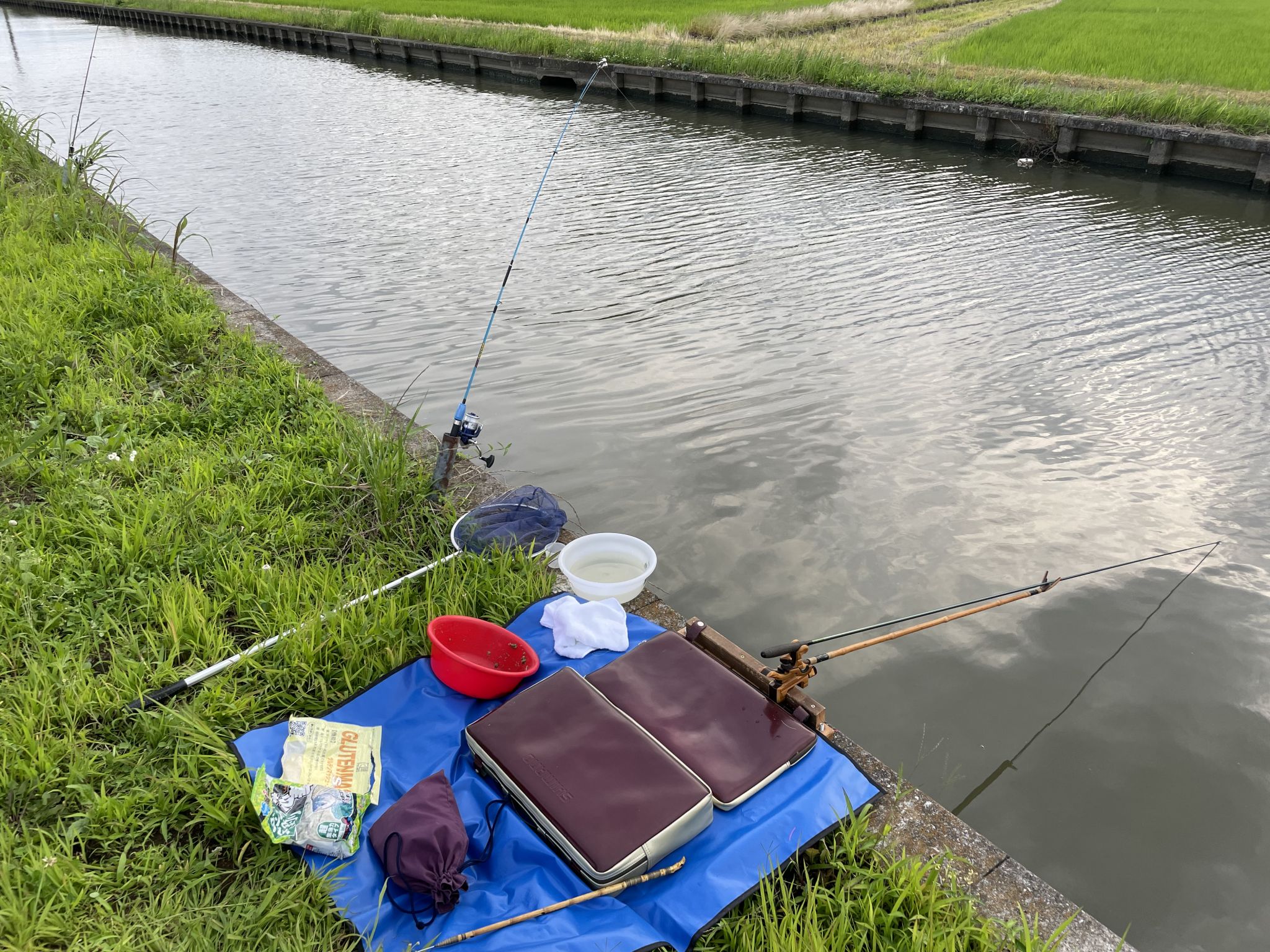 夏の楽しみ、地元釣り！