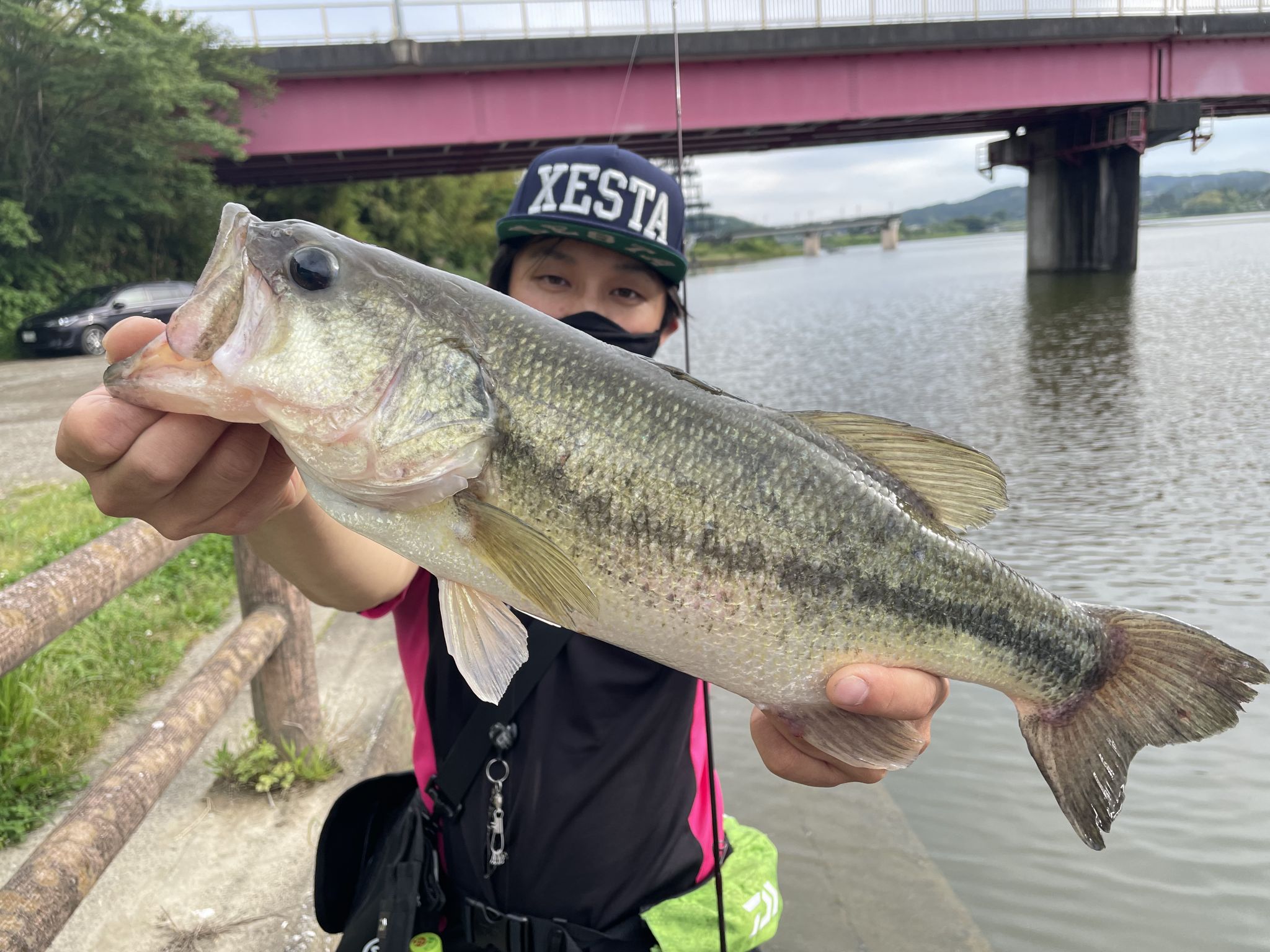 高滝湖でおかっぱり