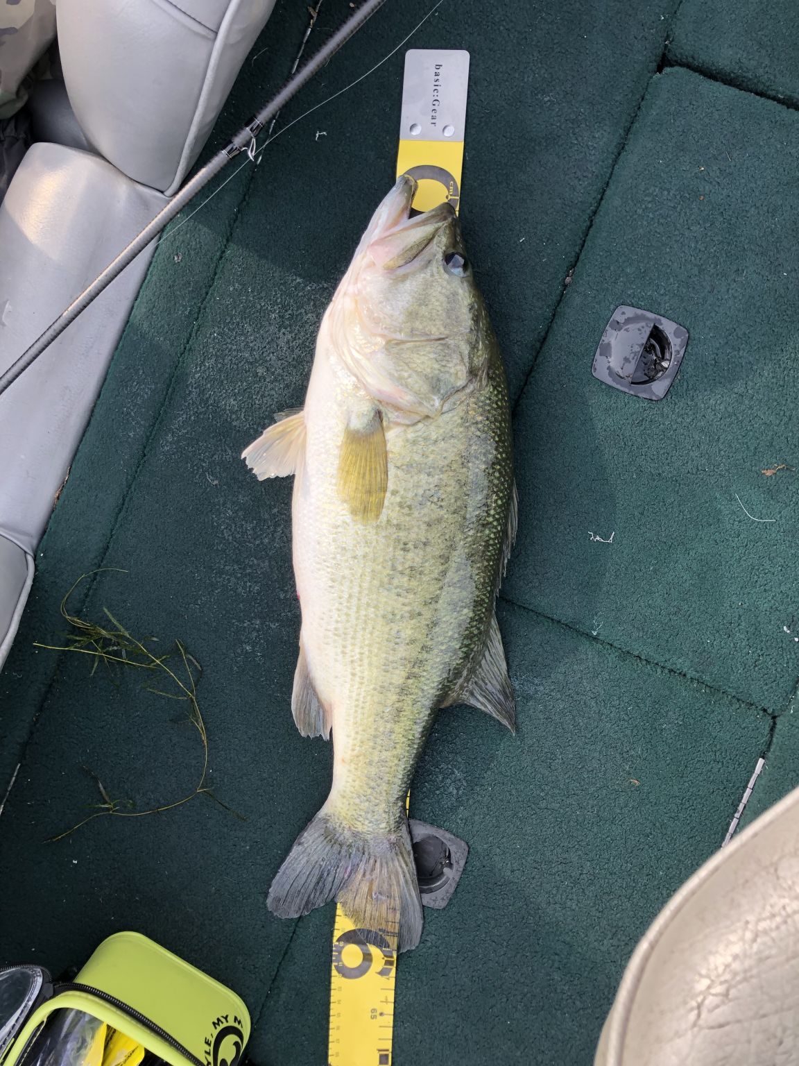 琵琶湖バス釣り