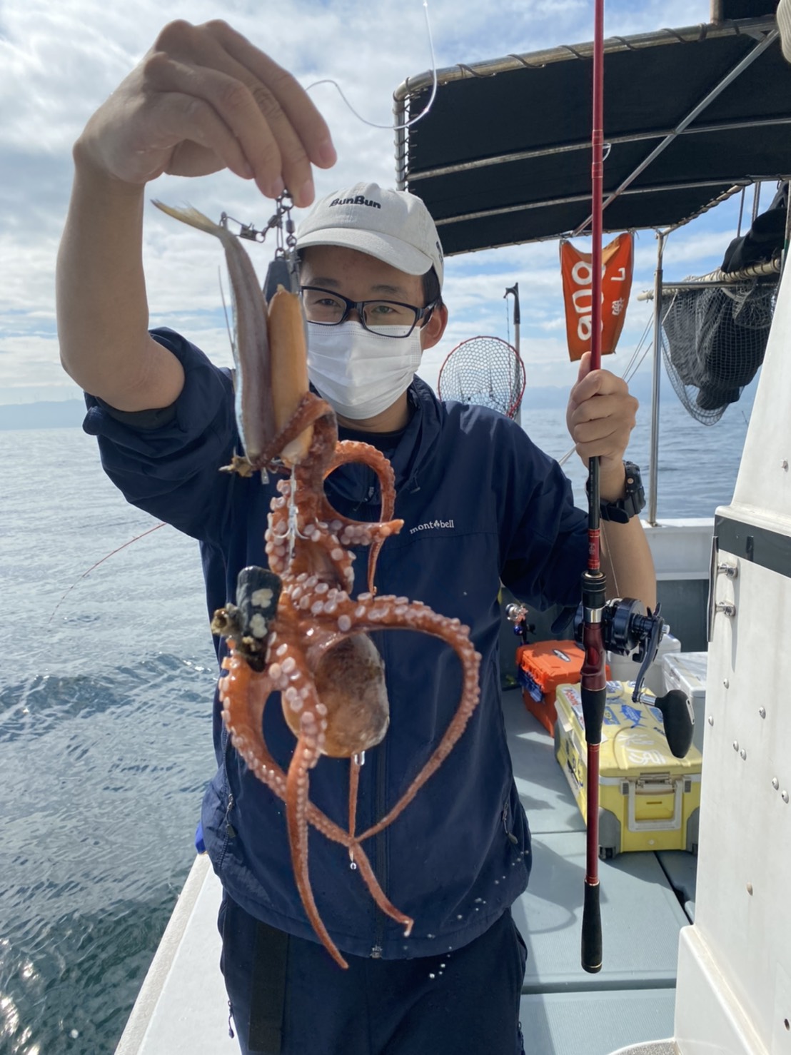 ブルーベリー味のコノシロ