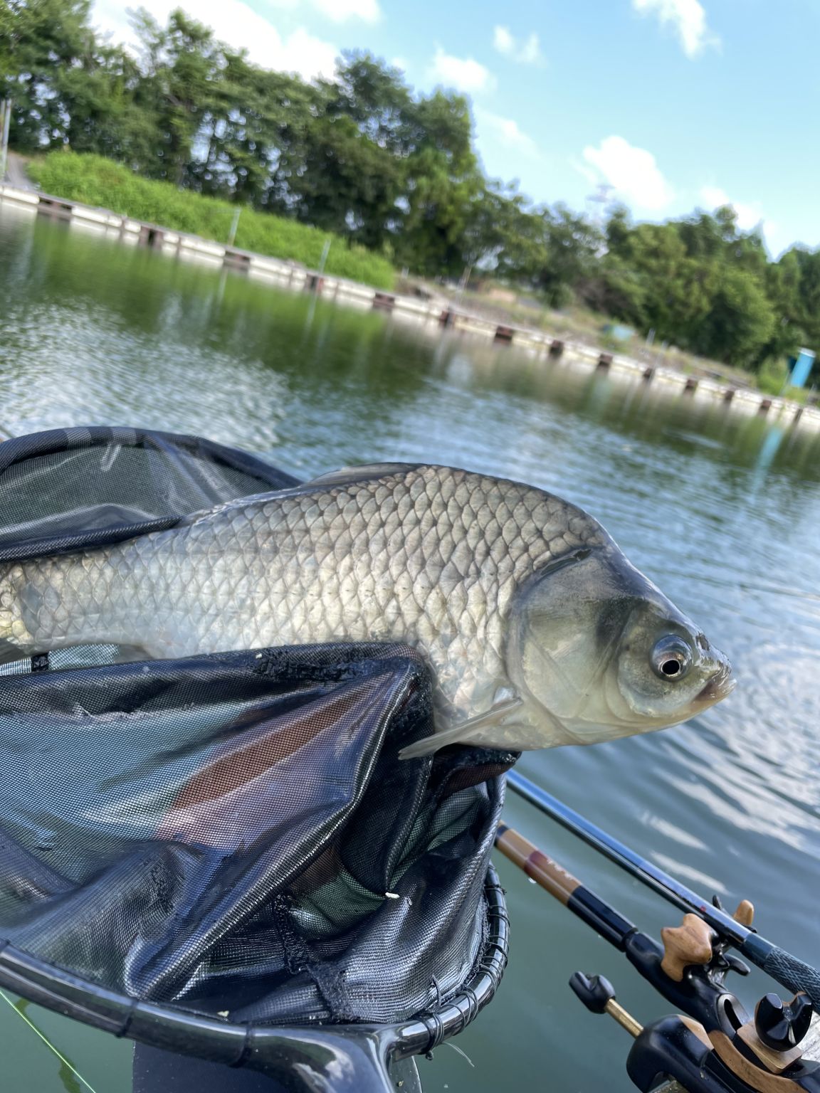 例会試釣で筑波流源湖♪