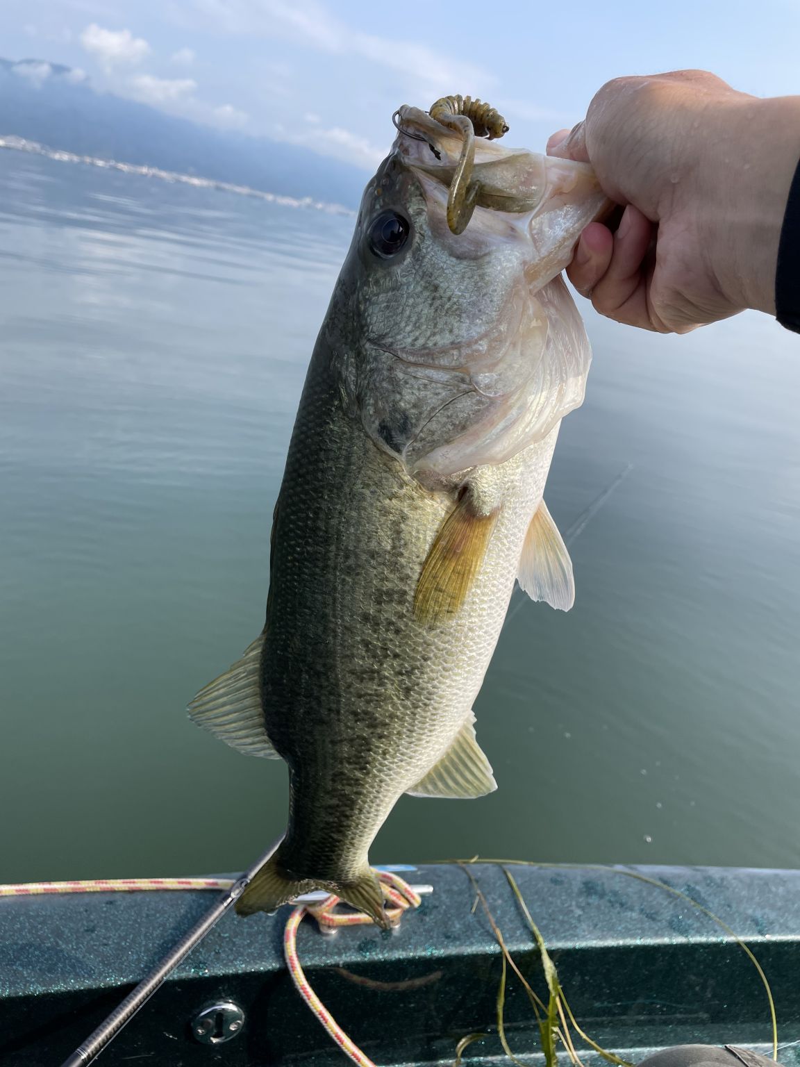 琵琶湖ボート釣行