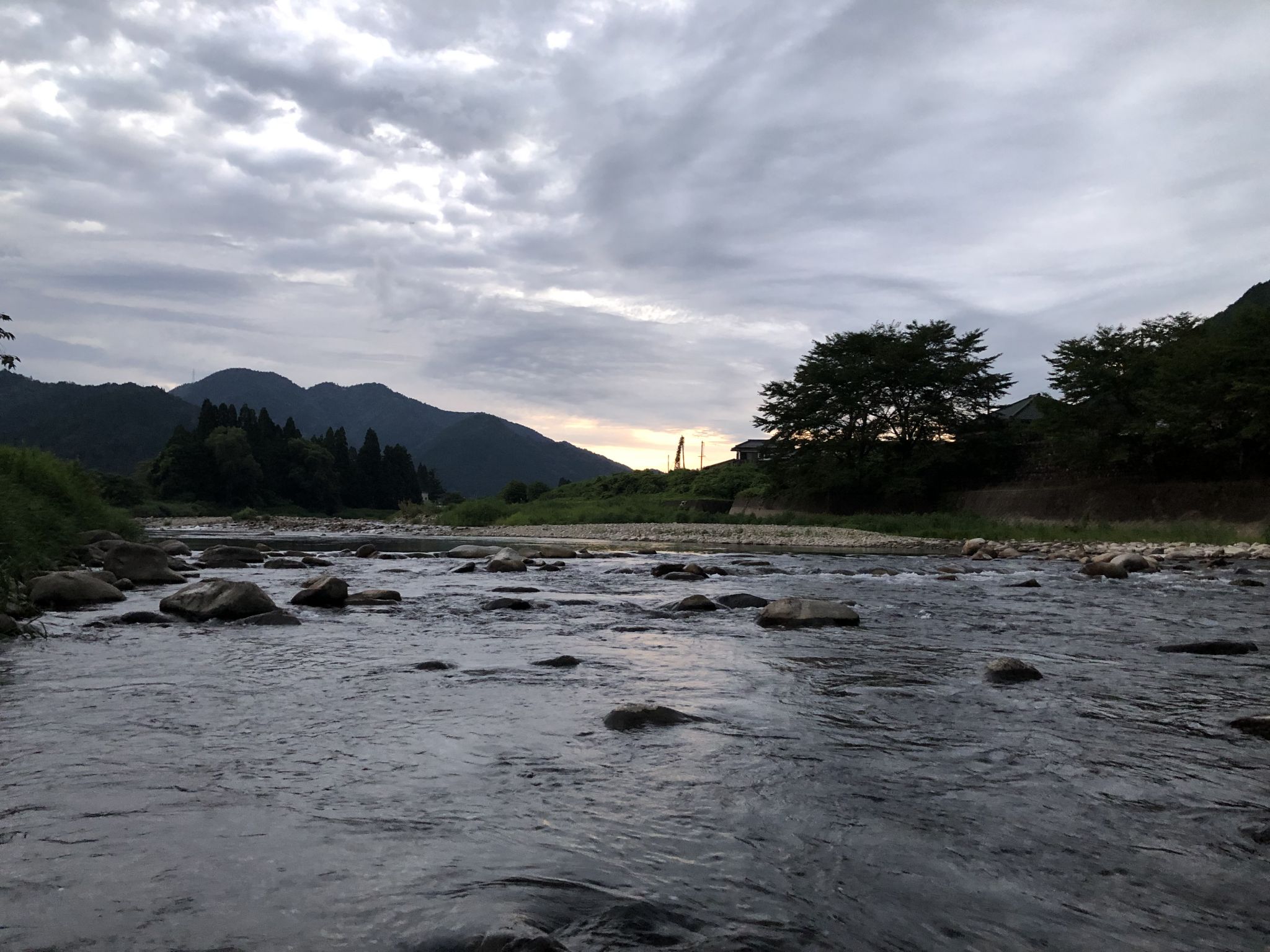 再び和良川へ