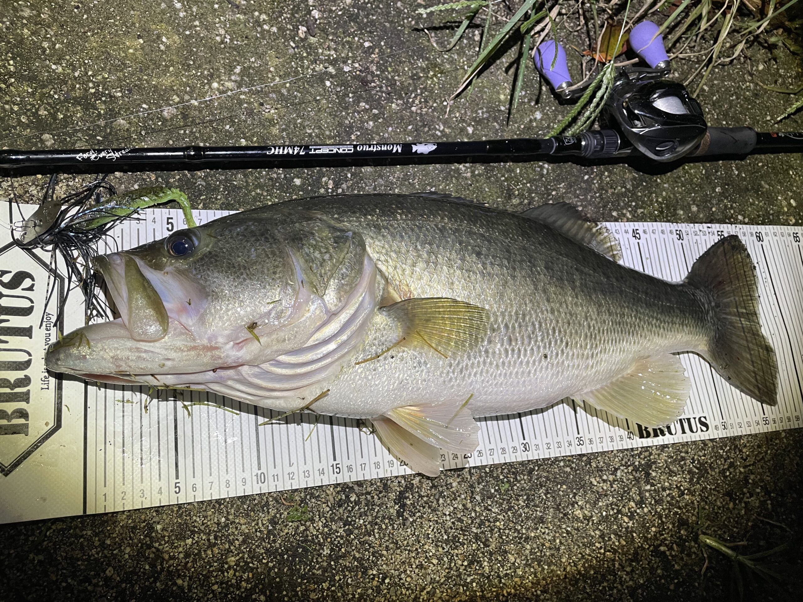 琵琶湖陸っぱり