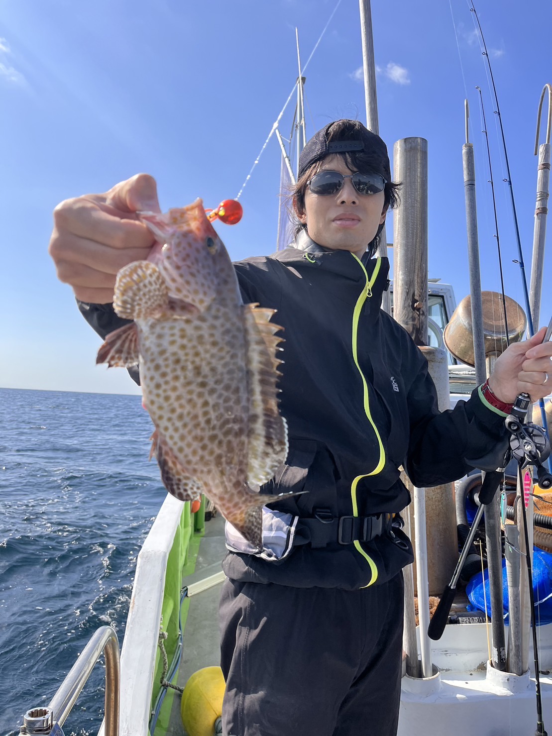 リハビリ釣行！江ノ島周辺でオオモンハタフィーバー！