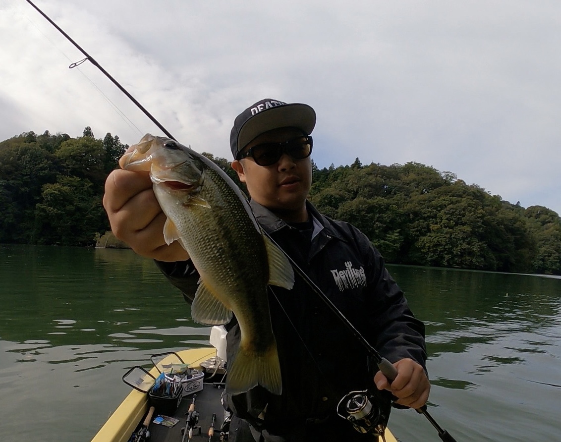 秋はどこへ？ in相模湖