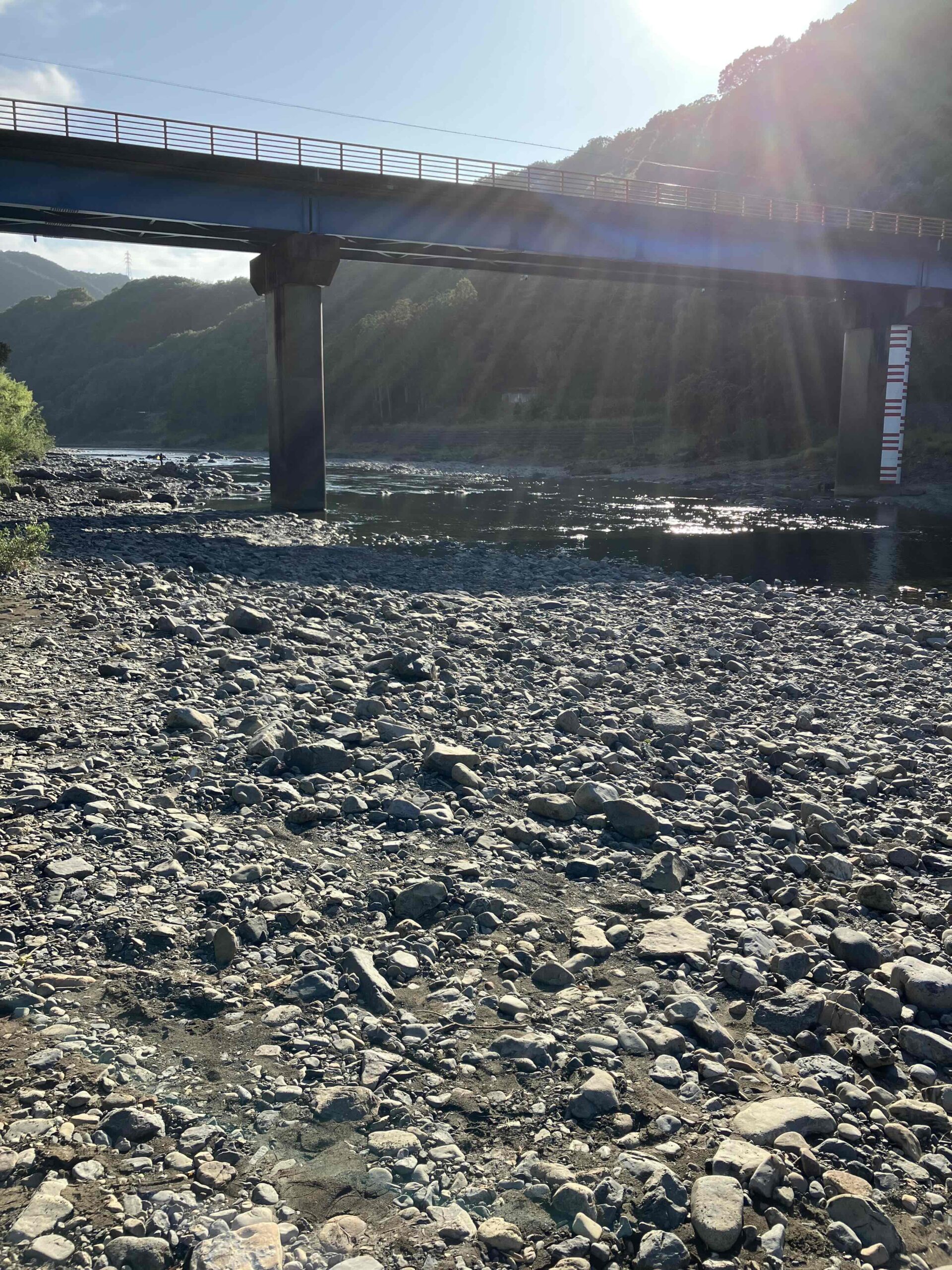 日高川　鮎釣り釣行