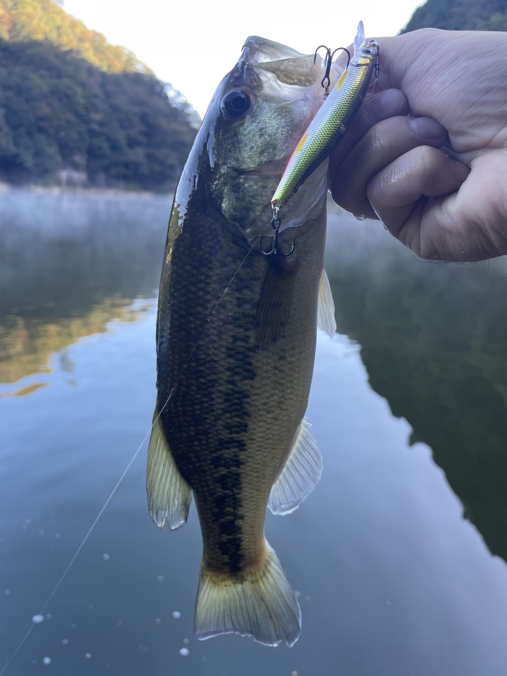 初の室生ダムに行ってきました🎣