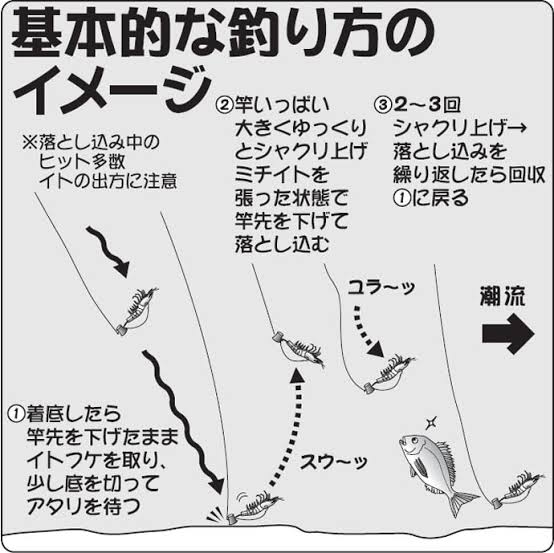 明石のマダイが簡単に釣れる！一つテンヤマダイ釣法免許皆伝