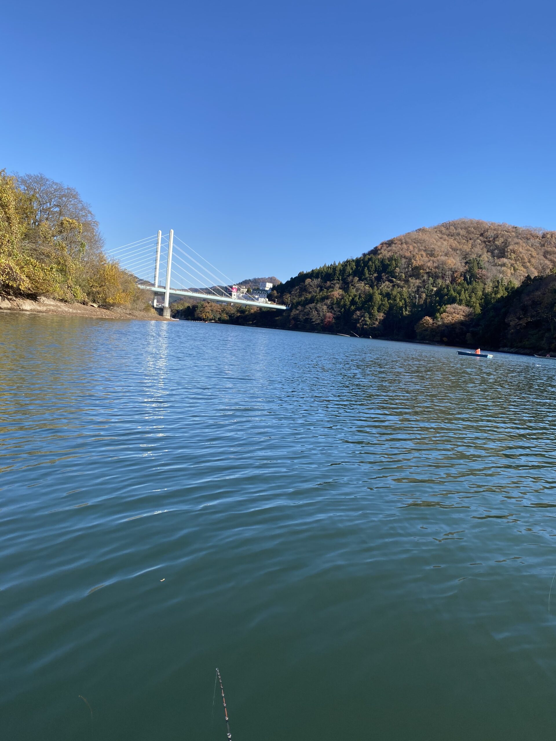 まったりと相模湖ワカサギ（ボート）