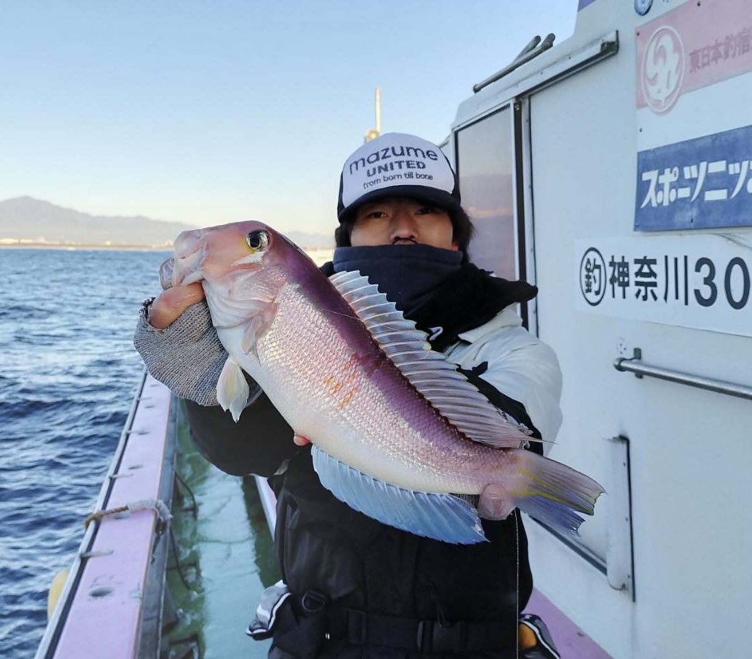 相模湾アマダイ！！