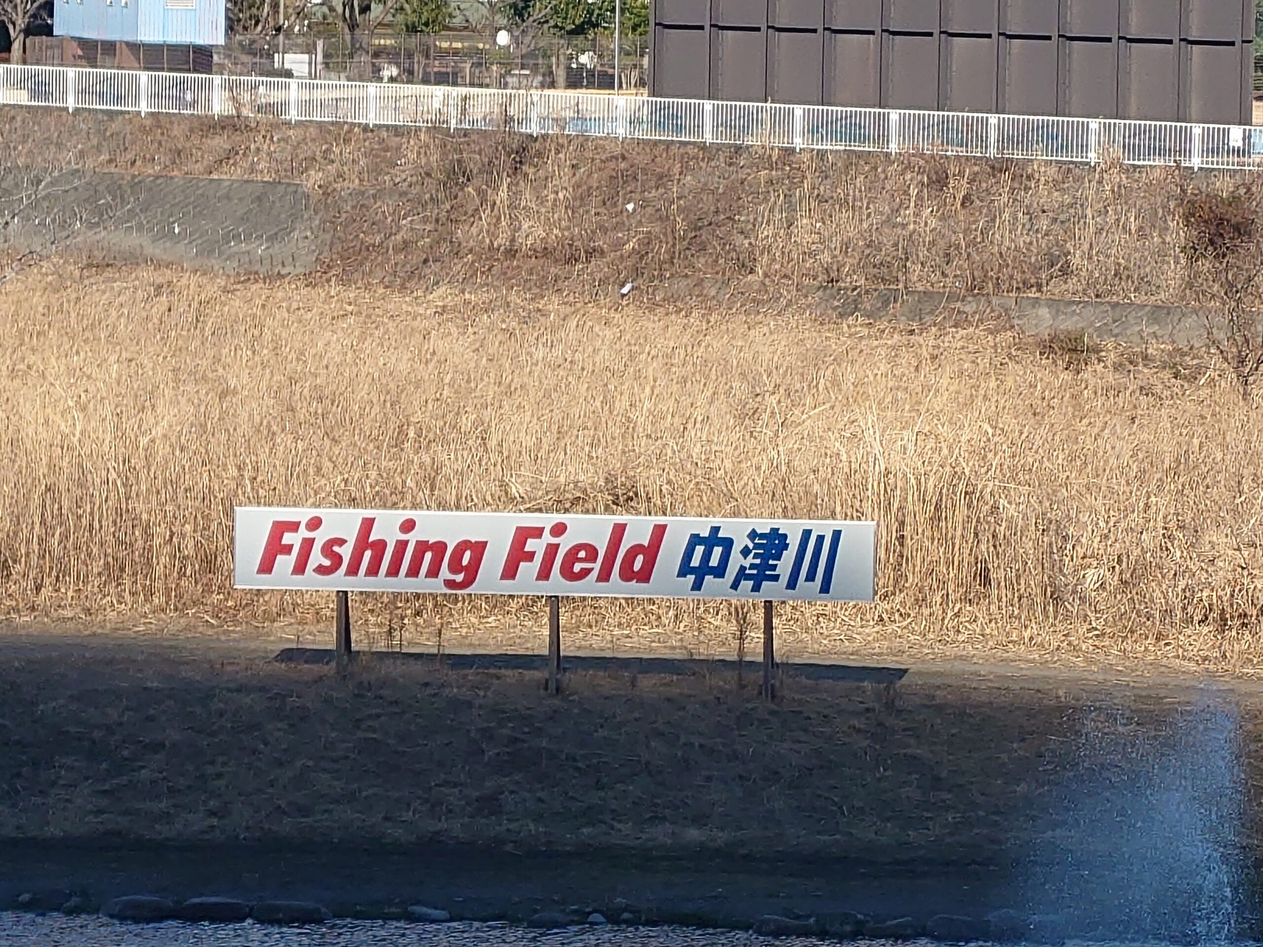 エリアトラウト釣行inFF中津川