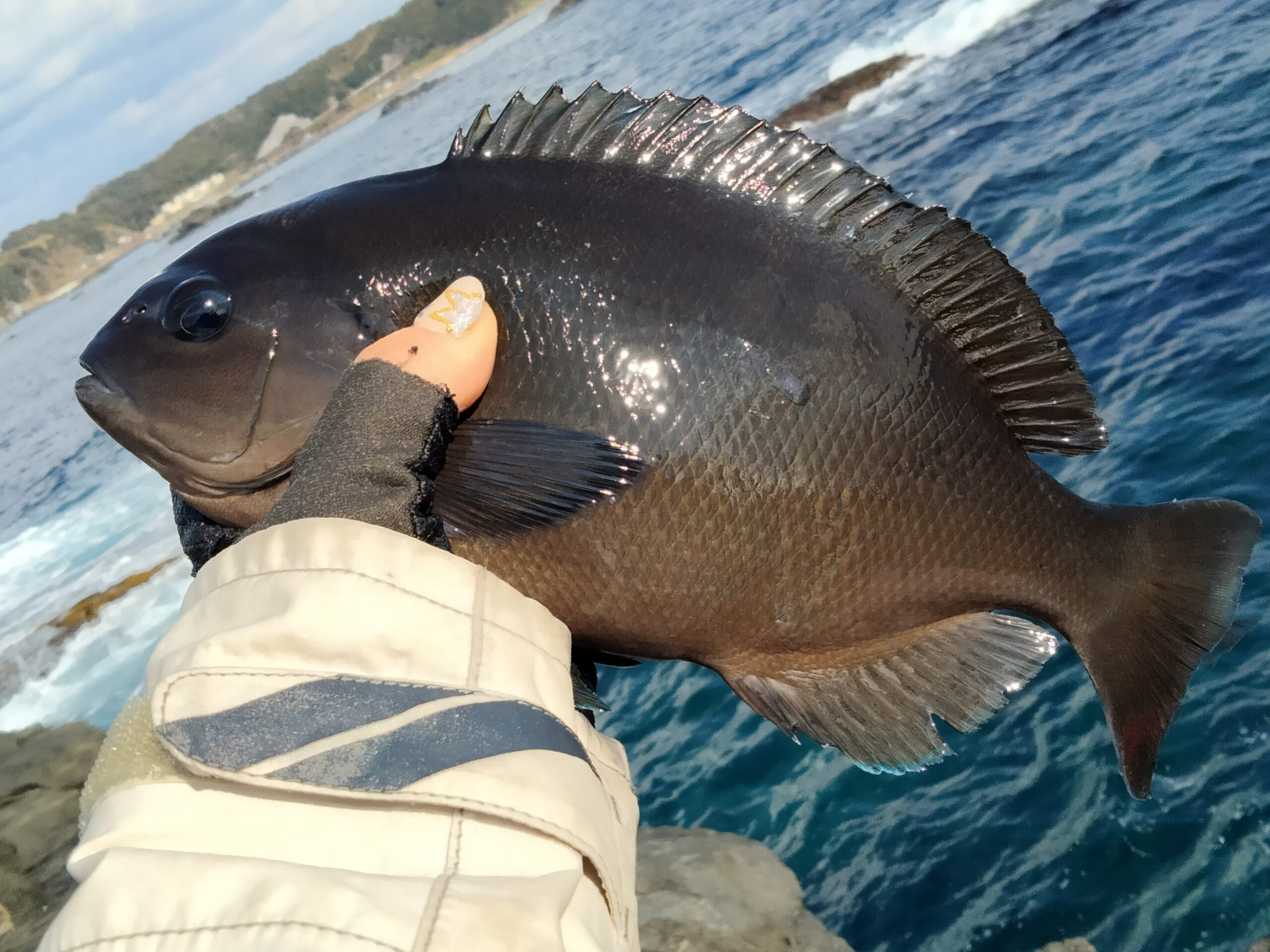 お客様と串本へ磯釣り♪