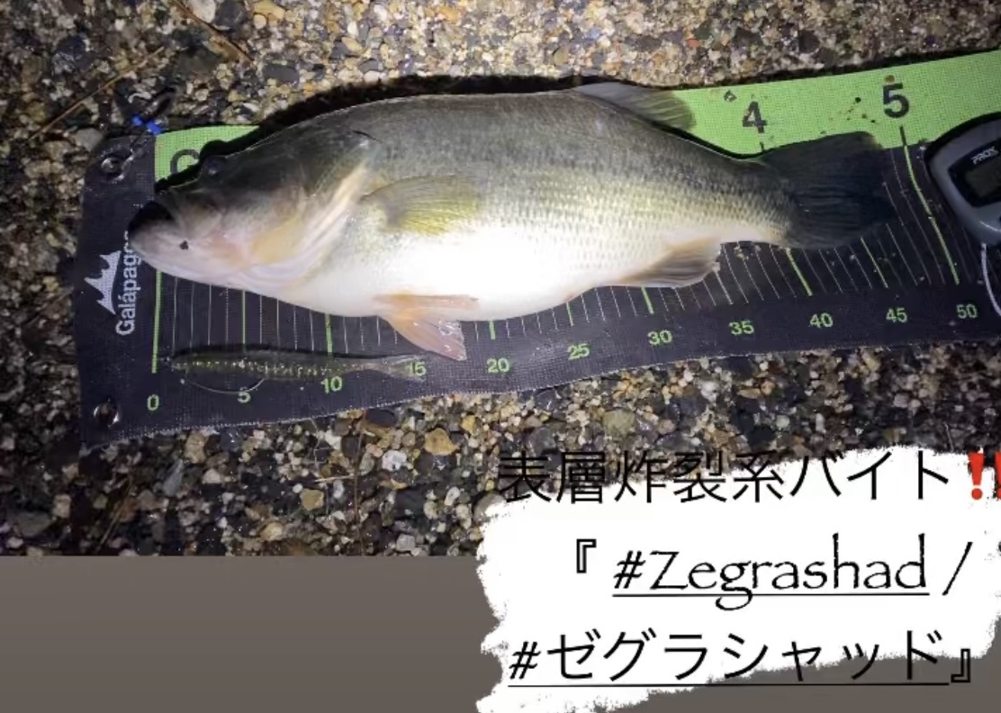 初釣り　琵琶湖へIN！