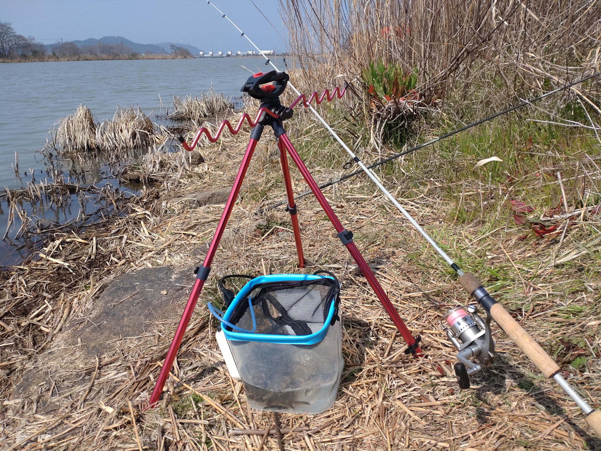 ブンブンスティックキャストでホンモロコ釣り