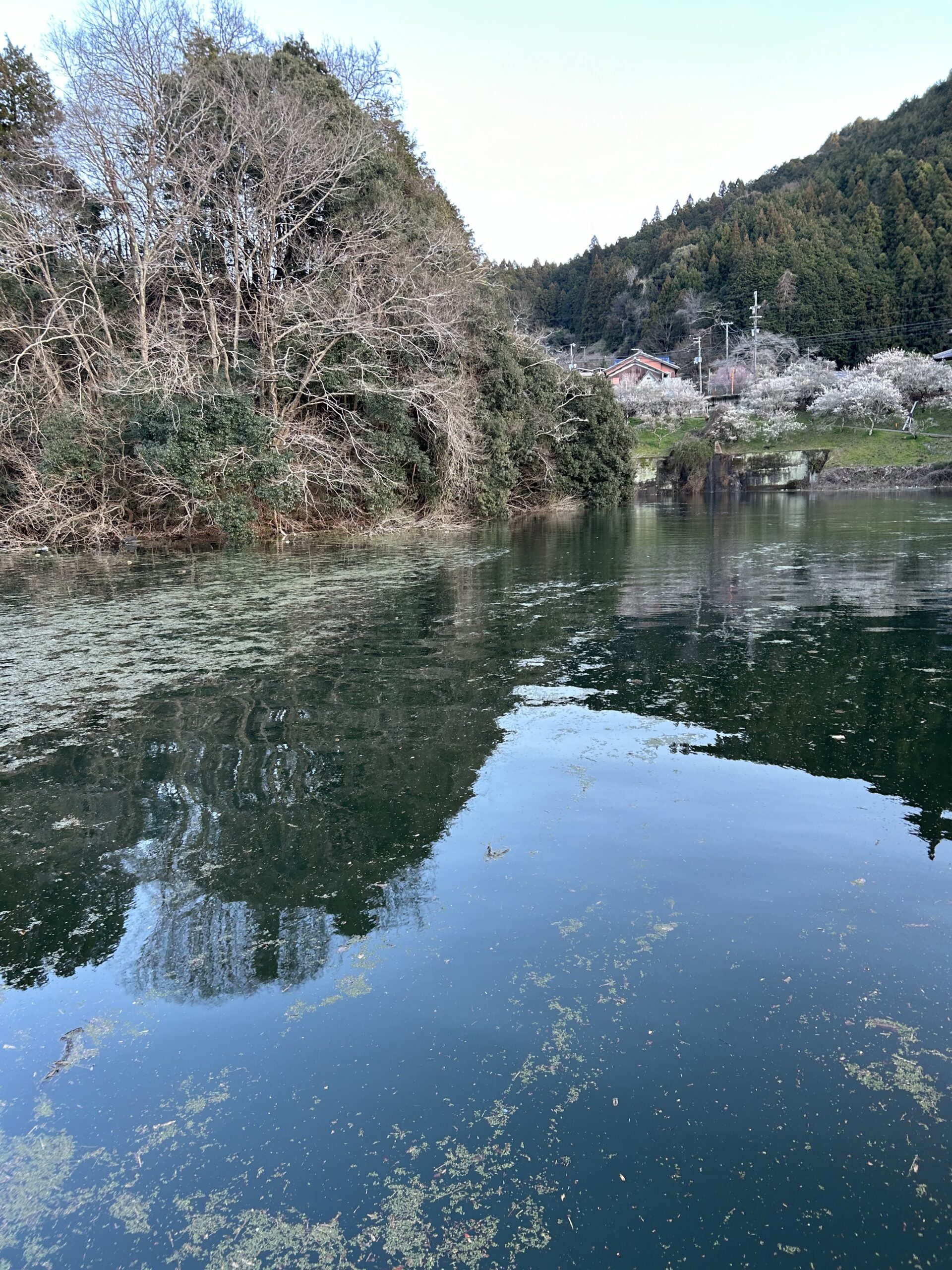 なかなか噛み合わない高山ダム