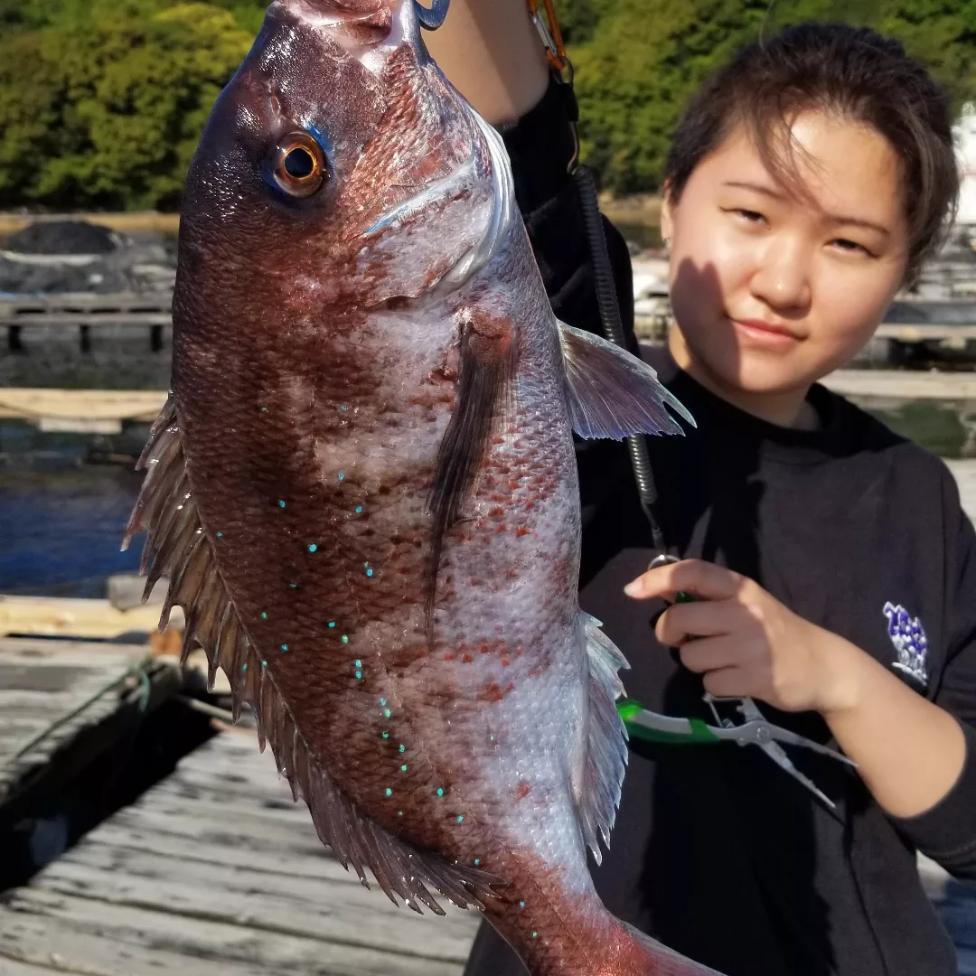 釣り堀水宝に行ってきました。