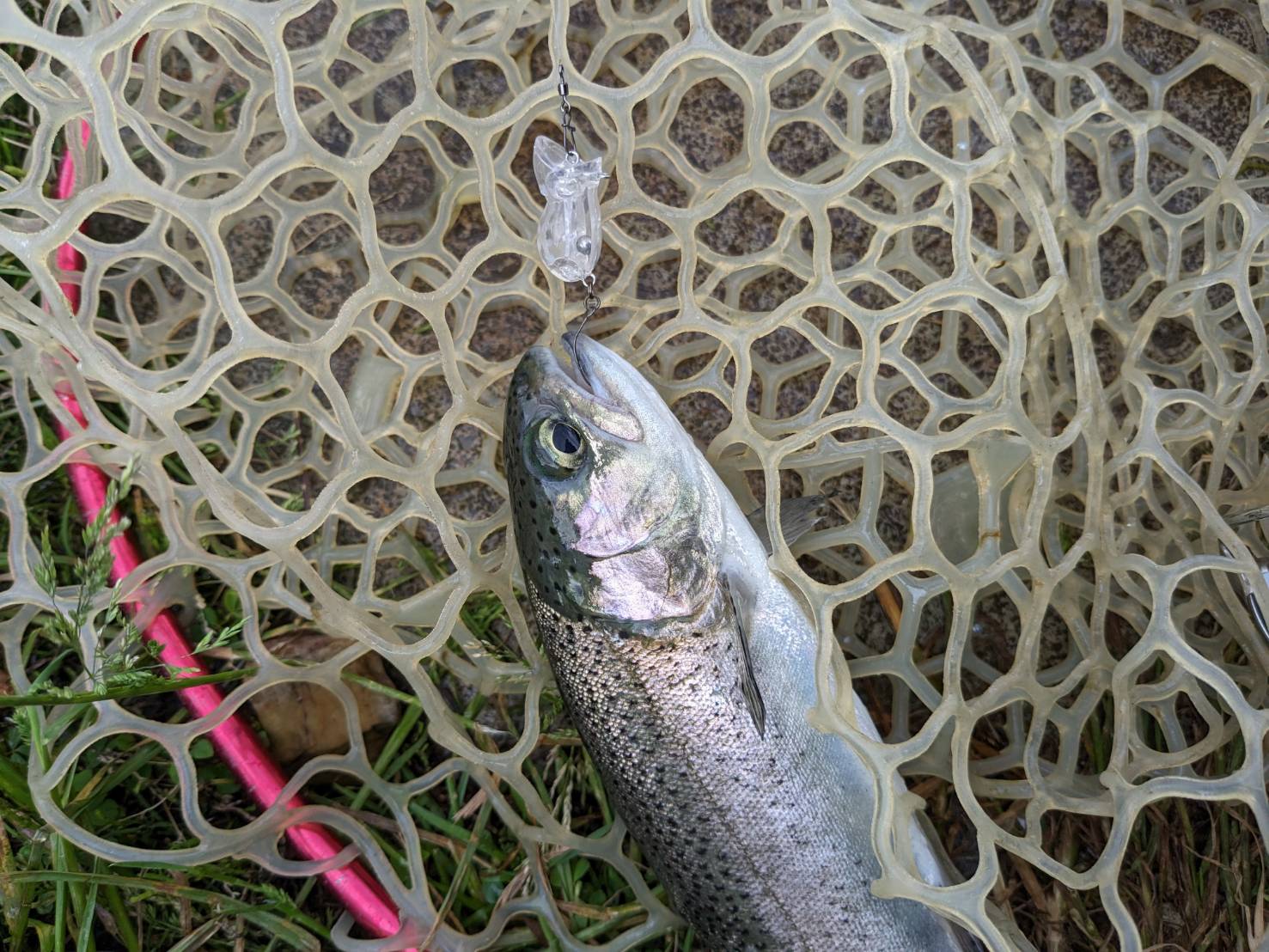 高島の泉トラウト管理釣り場に行ってきました。