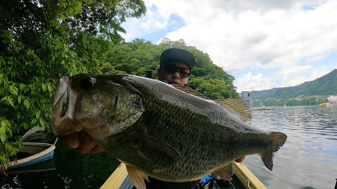 春爆な相模湖がヤバすぎる！