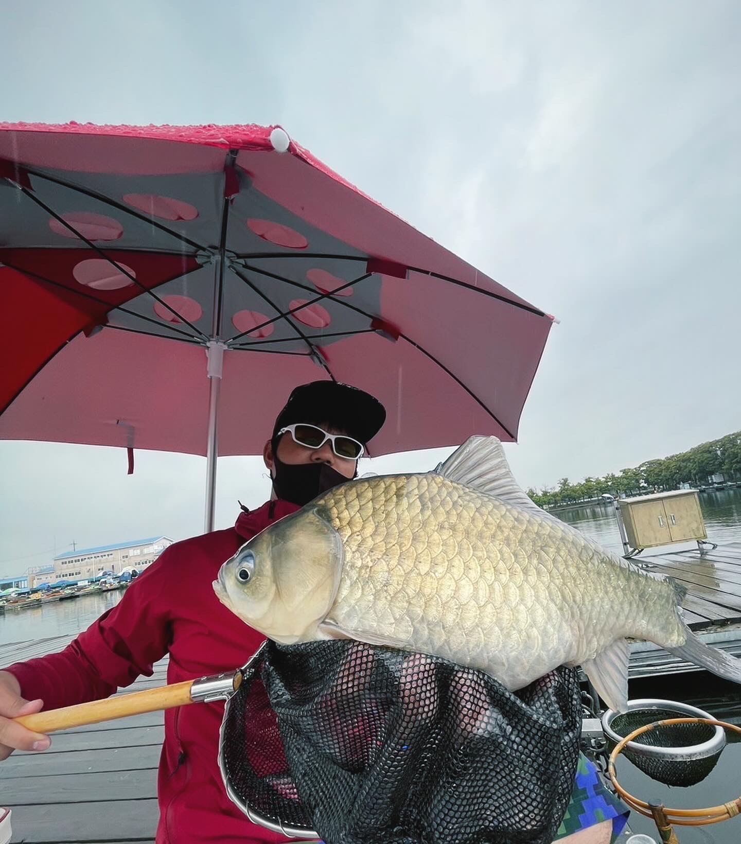 埼玉県椎の木湖で巨へら