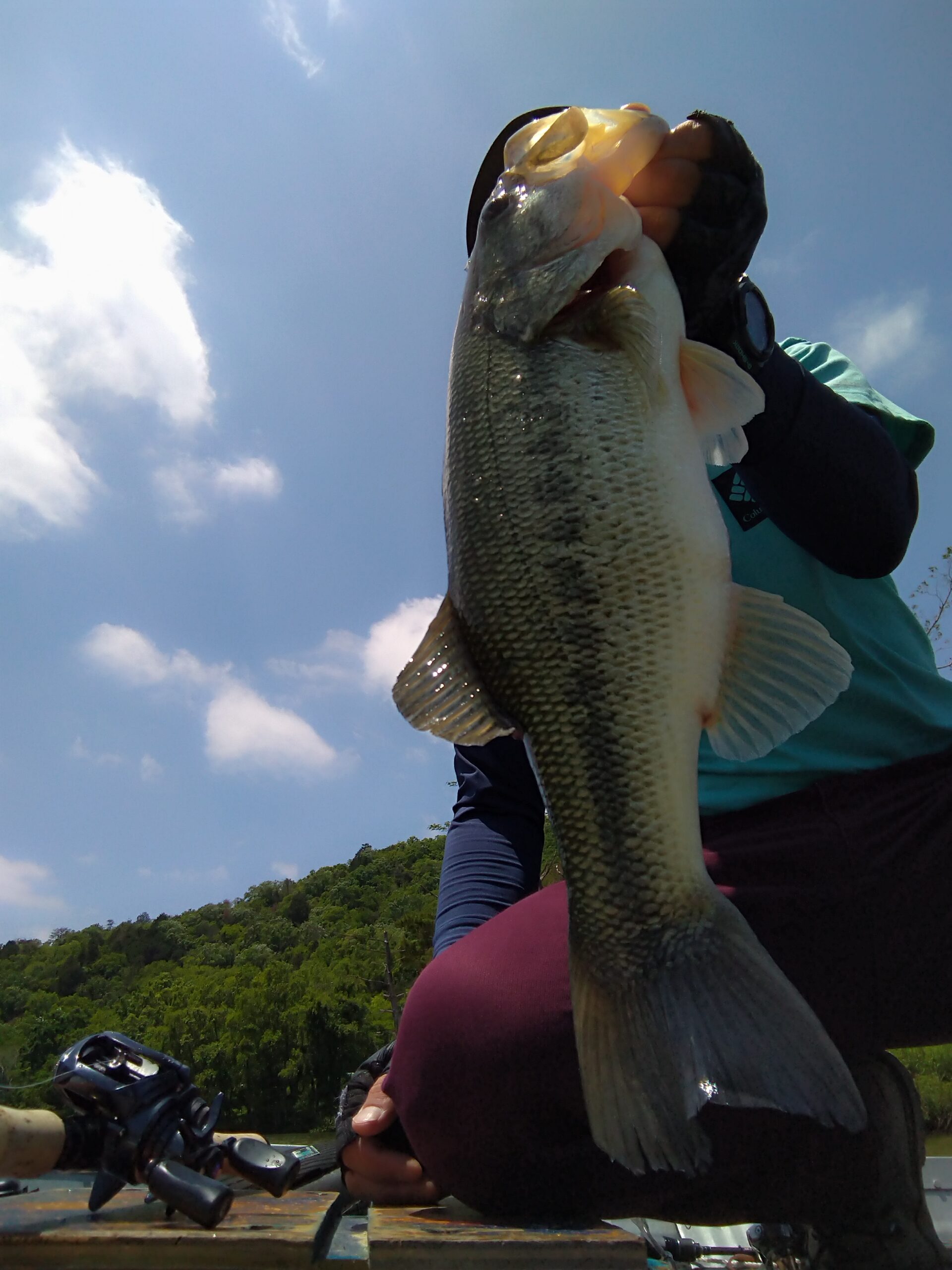 ５月下旬　青野ダムの現状は！？