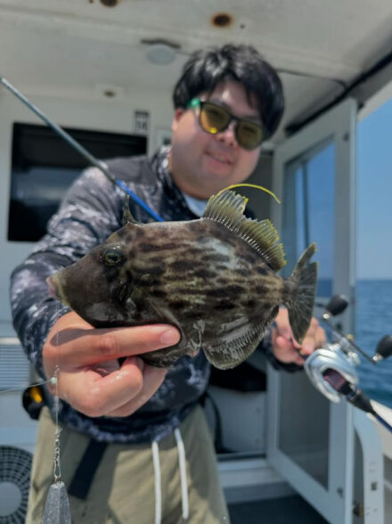 日本海(舞鶴)カワハギ開拓便