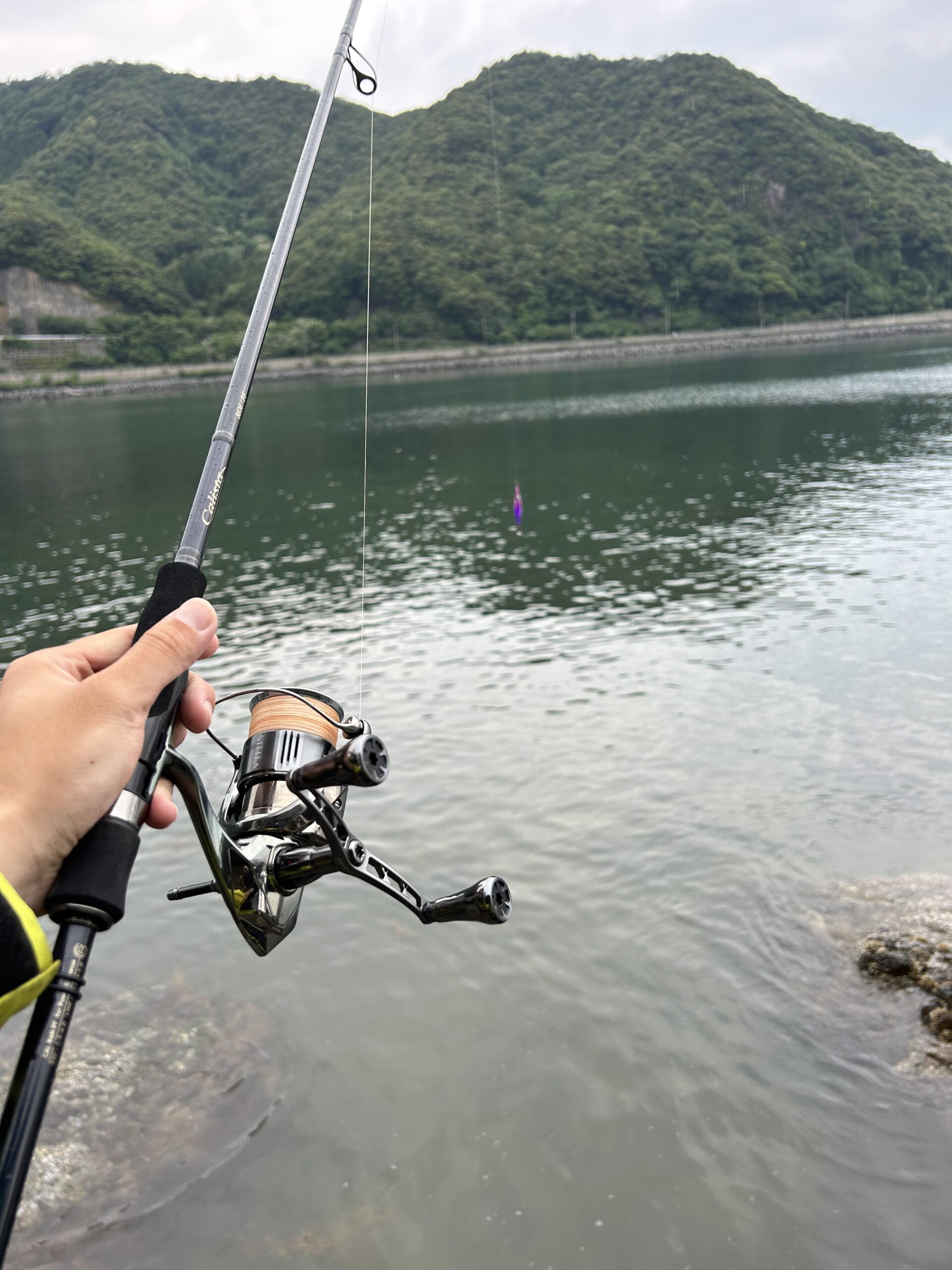 福井県エギング‼️