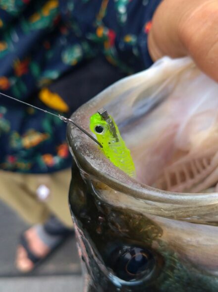 池原ダム　1週間ぶりに…6月下旬