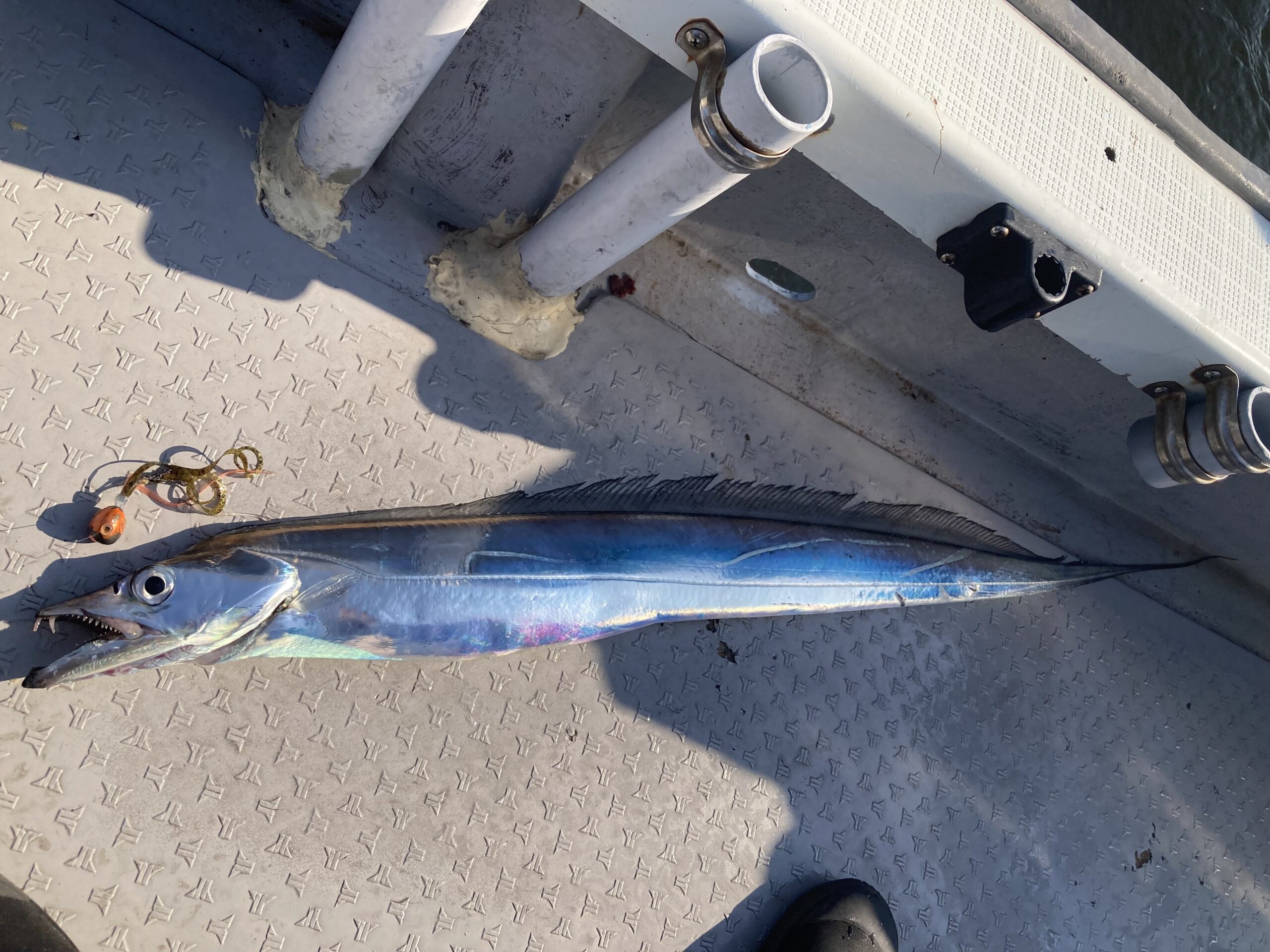 東京湾で大きいネクタイで釣りたい！