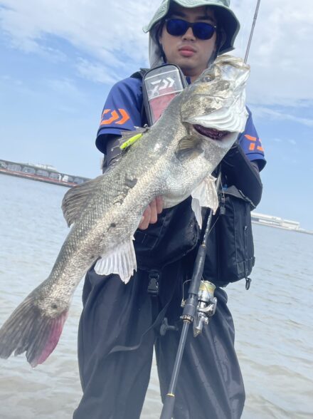 多摩川　ウェーディング