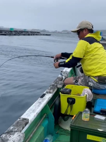 大チヌの聖地♪串本　大裕丸　チヌかかり釣り