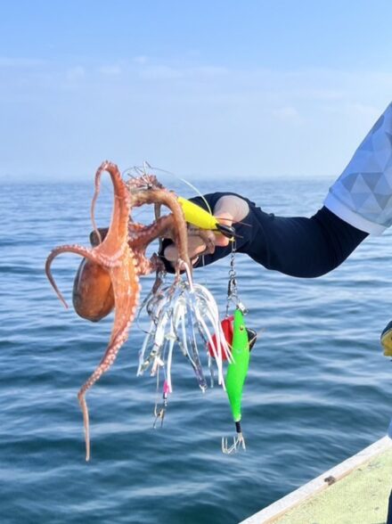 船タコ釣り行ってきました🐙