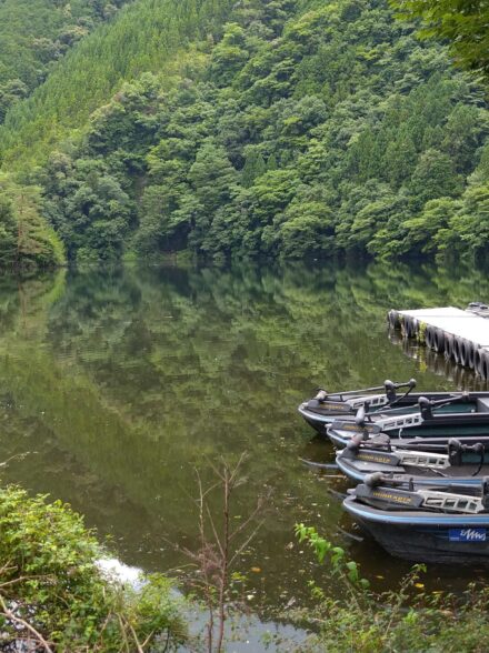 去年ぶりの七色ダム　7月初旬