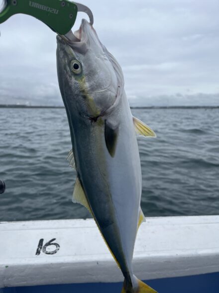 青物を釣りたい！鹿島ジギング！！