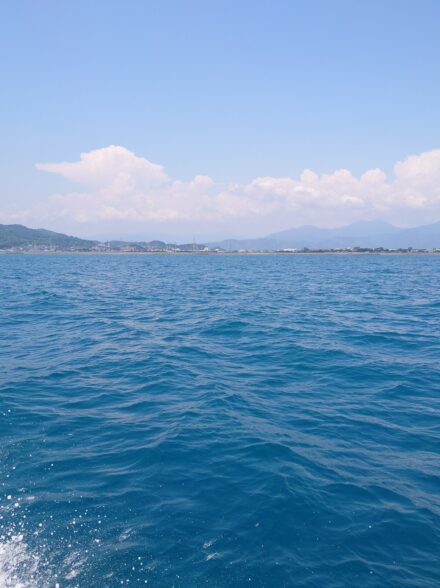 〜駿河湾に散る〜駿河湾タイラバ釣行