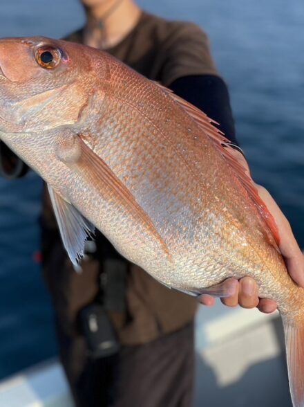 初の駿河湾タイラバ