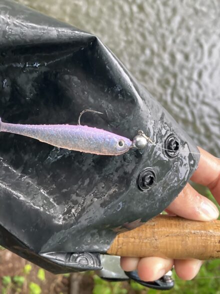 雨の中久しぶりのバス釣り