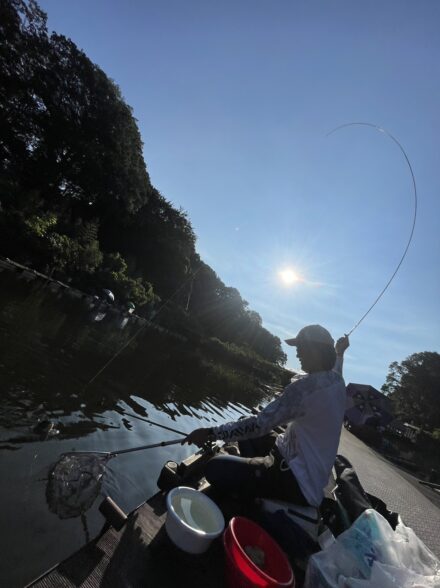 残暑が厳しくも清遊湖のへらは元気